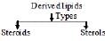Overview of Polymers: Addition & Polymerization | Chemistry for JEE Main & Advanced